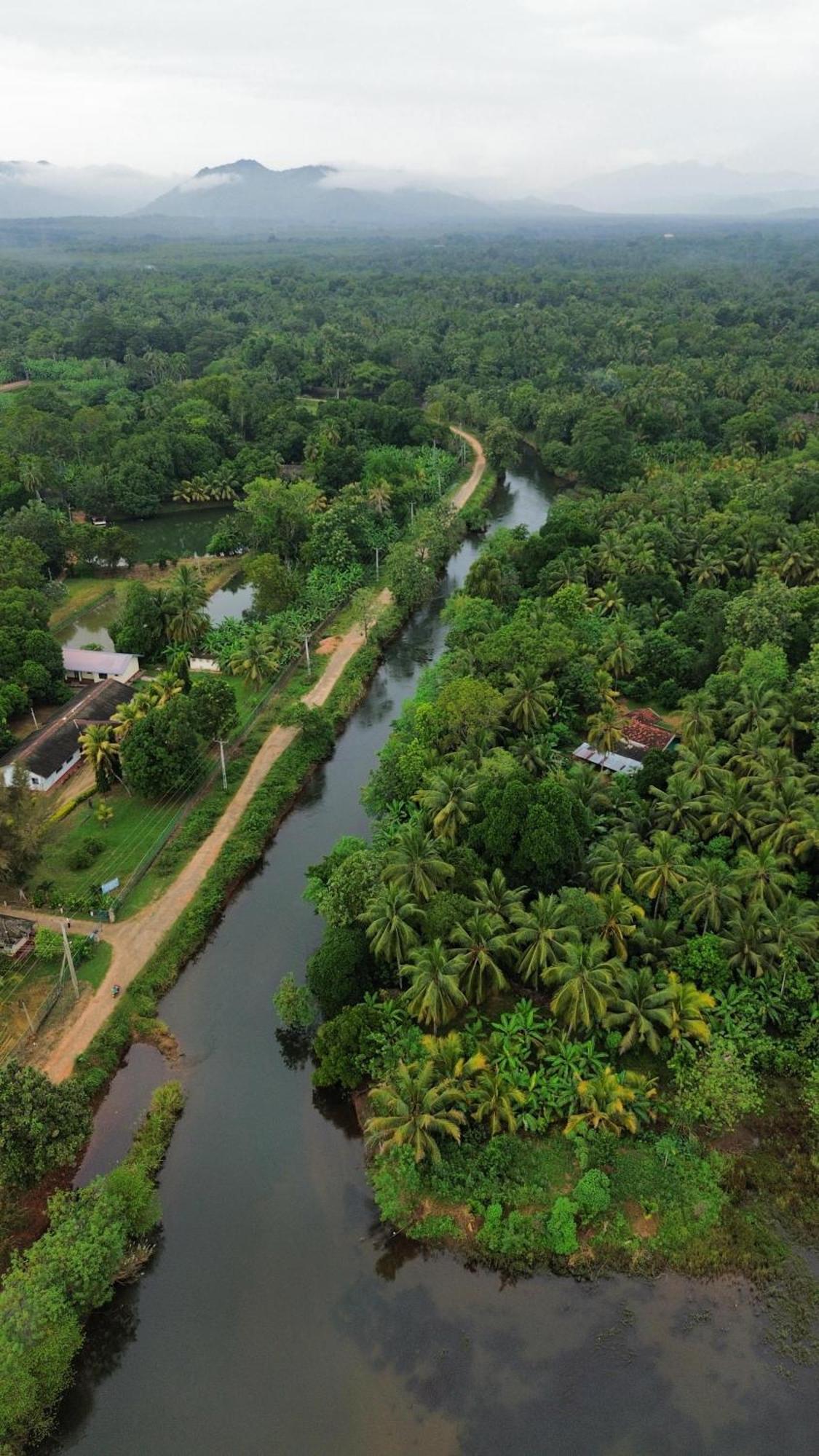 Canal Side Safari Resort Udawalawe Exterior foto